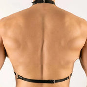 Gael Harness